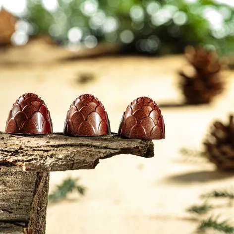 Chocolate Mould; Pine Cone.webp